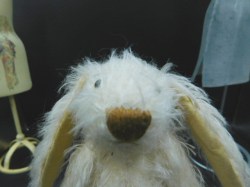 WHITE MOHAIR VCR BEAR A